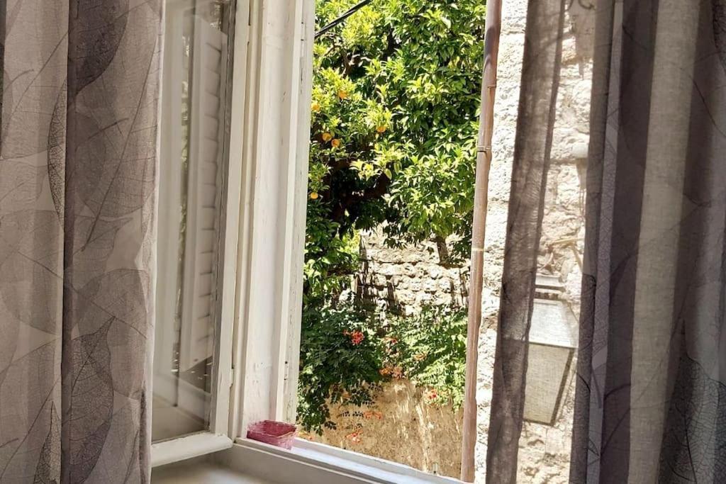 House Marija In Old Town Διαμέρισμα Ντουμπρόβνικ Εξωτερικό φωτογραφία
